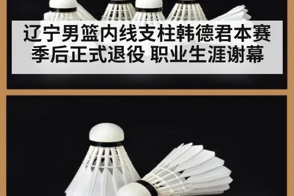 辽宁男篮内线支柱韩德君本赛季后正式退役 职业生涯谢幕