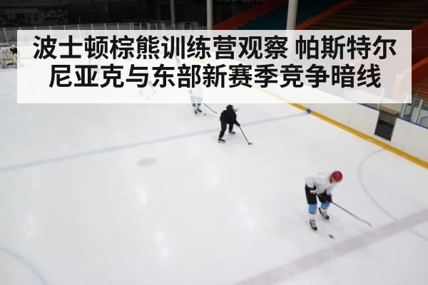 波士顿棕熊训练营观察 帕斯特尔尼亚克与东部新赛季竞争暗线